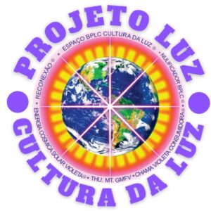 Moeda imantada nulificadora